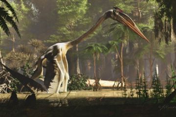 Mengenal Quetzalcoatlus, Dinosaurus Terbang Terbesar di Dunia