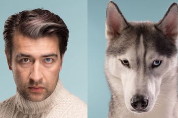 Dunia Hewan: Mengapa Anjing dan Pemiliknya Sering Terlihat Mirip?
