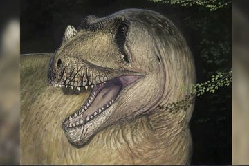 Misteri Fosil Dinosaurus Bertanduk yang Hancur pada Perang Dunia II