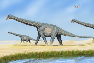 Dinosaurus berleher panjang ternyata tidak dapat menjaga leher panjang mereka dalam posisi vertikal. Kenapa?