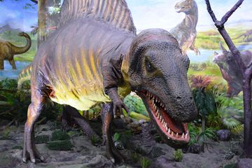 Ada 700 Spesies Dinosaurus Ditemukan dan Diberi Nama, Mengapa Begitu Banyak?