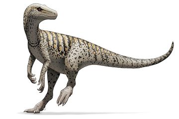 Fosil-Fosil Tertua Beri Petunjuk Tempat Kelahiran Dinosaurus Pertama