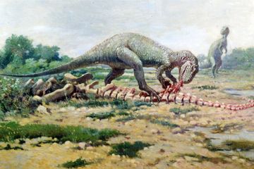 Apa yang Membuat Allosaurus Menjadi Dinosaurus Kanibal?