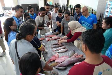 Mengidentifikasi 134 Spesies Ikan Laut demi Wujudkan Ekonomi Biru NTT