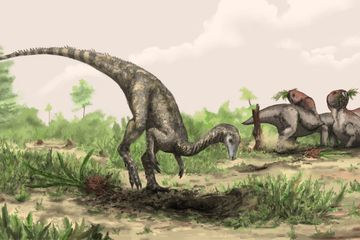 Di Mana Lokasi Dinosaurus Pertama Kali Ditemukan?