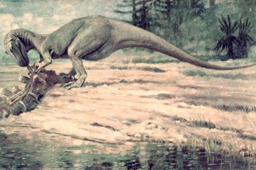 Semua makhluk hidup harus makan untuk bertahan hidup, dan dinosaurus tidak terkecuali. Apa saja makanan dinosaurus?