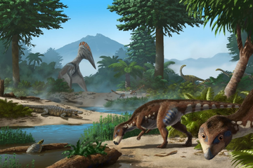 Dinosaurus Kerdil dari Transylvania Beri Petunjuk Baru tentang Adaptasi Evolusi