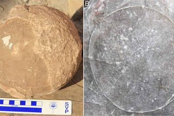 Fosil Telur Dinosaurus di India Ungkap Cara Titanosaurus Berkembang Biak