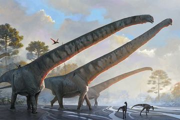 Mamenchisaurus sinocanadorum, Dinosaurus dengan Leher Sepanjang 15 Meter