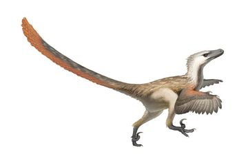 Velociraptor, Kisah Dinosaurus yang Jadi Bintang Jurassic World