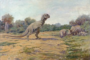 Dulu Kecil, Apa Penyebab Tubuh T-rex Berevolusi Menjadi Besar?