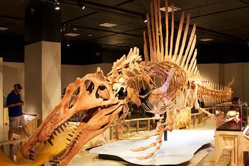Kameo Jurassic World, Kisah Spinosaurus yang Jadi Misteri Abadi
