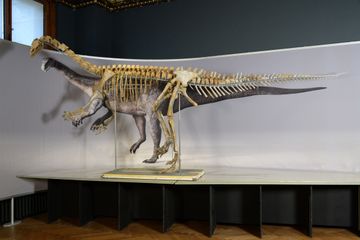 Studi Ungkap Dinosaurus Plateosaurus Gunakan Ekor sebagai Senjata Mematikan