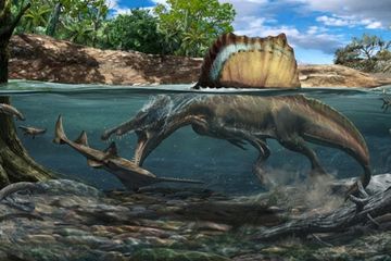 Spinosaurus, Dinosaurus dalam Jurassic World  yang Berburu di Air