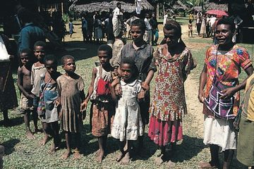 Temuan Ilmiah: DNA Purba dari Papua Nugini Ungkap Adanya Isolasi Genetik Meski Tinggalnya Berdekatan