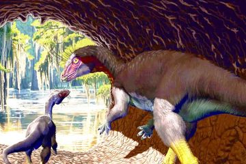 Dinosaurus Unik Ini Menggali Kuburannya Sendiri, Apa Tujuannya?