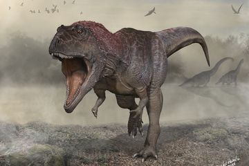 Meraxes gigas