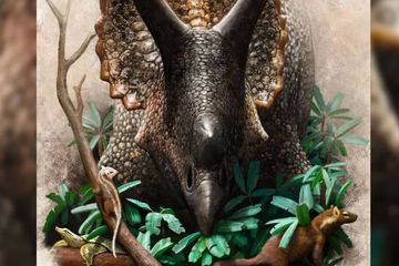 Mamalia Sudah Siap Kuasai Bumi Sebelum Asteroid Musnahkan Dinosaurus