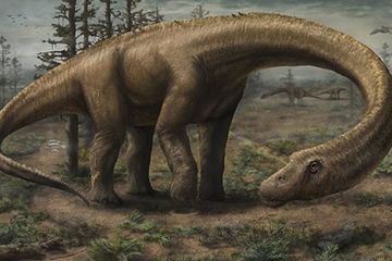 Dreadnoughtus Schrani, Spesies Dinosaurus Terbesar yang Pernah Ada