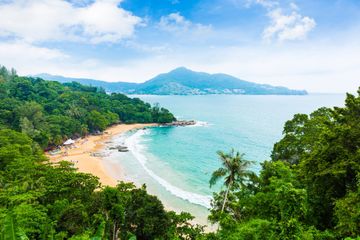Bagaimana Teluk Lampung Mengajarkan Ilmuwan Dunia tentang Karbon Biru?