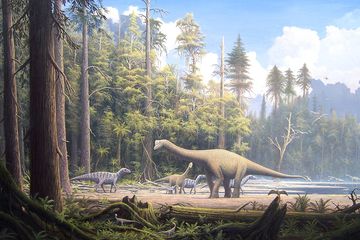 Bukan Hanya Dinosaurus, Reptil dan Leluhur Mamalia Juga Tumbuh Cepat pada Zaman Purba