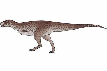 Penemuan Fosil Baru di Argentina Ungkap Keragaman Dinosaurus Abelisauroid