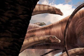 Apatosaurus, Dinosaurus 'Penipu' dan Alasan di Balik Namanya yang Kontroversial