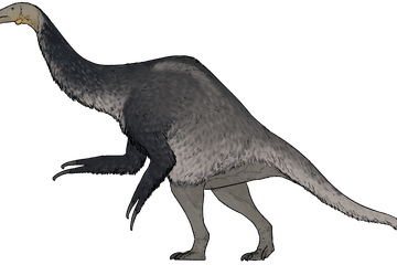 Biasanya Punya Tiga Jari, Mengapa Dinosaurus Therizinosaurus Ini Jarinya Berkurang Satu?