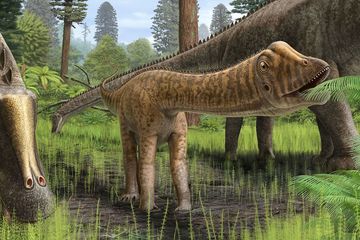 Dari Fosil Jadi Ikon: Kisah Dippy, Dinosaurus Diplodocus yang Menaklukkan Hati Dunia!