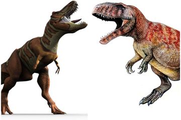 Tyrannosaurus rex vs. Giganotosaurus carolinii