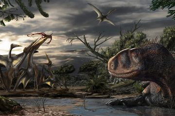 Ketika Gurun Sahara Menjadi Rumah Bagi Dinosaurus Paling Ganas