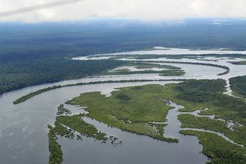 Selidik Guci Berisi Sisa Manusia yang Ditemukan di Hutan Amazon Brasil