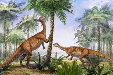 Mengapa Penurunan Kadar Karbon Dioksida Membuat Dinosaurus Herbivor Ini Bermigrasi?