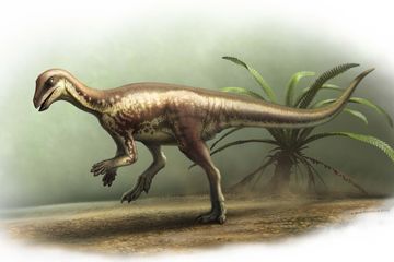 Temuan Dinosaurus Kecil di Kolorado Bantu Pecahkan Misteri Taksonomi Purba
