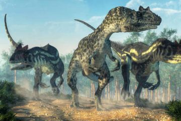 Antagonis di Jurassic World, Allosaurus Ternyata Predator Kanibal