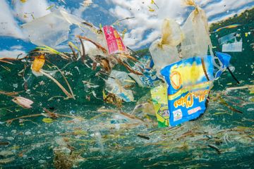 Mengenal 'Kolonialisme Sampah' dan Alasan Thailand Melarang Impor Sampah Plastik