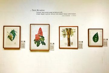 Seni Botani untuk Cerita Pangan yang Asing di Tanah Sendiri