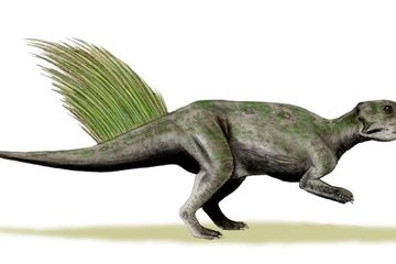 Dinosaurus Kecil dari Zaman Kapur Berkamuflase untuk Hindari Predator