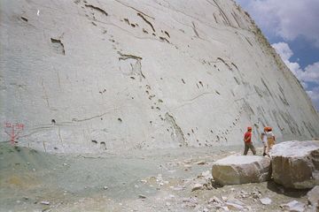 Bagaimana Dinosaurus Bisa Meninggalkan Jejak di Batu yang Padat?