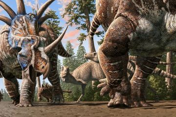 Dinosaurus Berbagai Spesies Hidup Berkelompok Seperti di Film Animasi