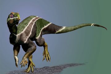 Fosil Dinosaurus dari Amerika Utara Ungkap Masa Transisi pada Zaman Kapur