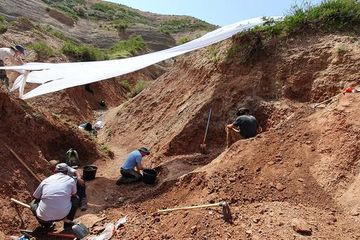 17 Tahun Penggalian, Identitas Fosil Dinosaurus dari Kyrgyzstan Akhirnya Terungkap
