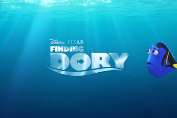 Dory