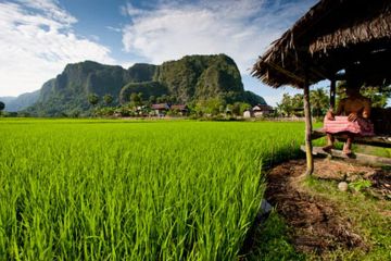 Geopark Maros Pangkep Diakui sebagai Geopark Dunia, Apa Istimewanya?