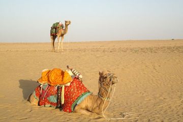 Hujan buatan di Gurun Abu Dhabi