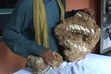 Fosil Kerbau Purba di Gunungkidul