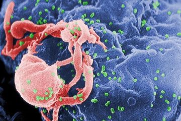 Kontrasepsi Baru, Lumpuhkan Virus HIV dan Herpes
