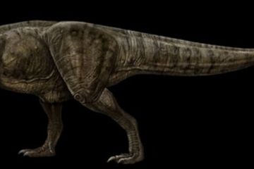 &lt;i&gt;Tyrannosaurus Rex&lt;/i&gt; Tak Semenakutkan Seperti di Film Jurrasic Park