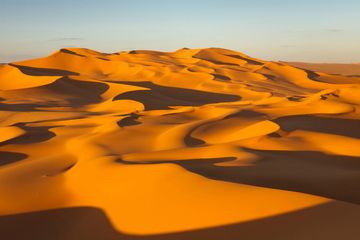 Dulunya, Gurun Sahara "Surga" bagi Peternak Sapi