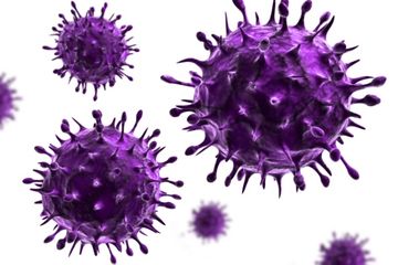 Protein Sintetis untuk Cegah Penyakit Flu